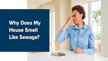 Why Does My San Diego Home Smell Like Sewage After Rain? 1 images 70